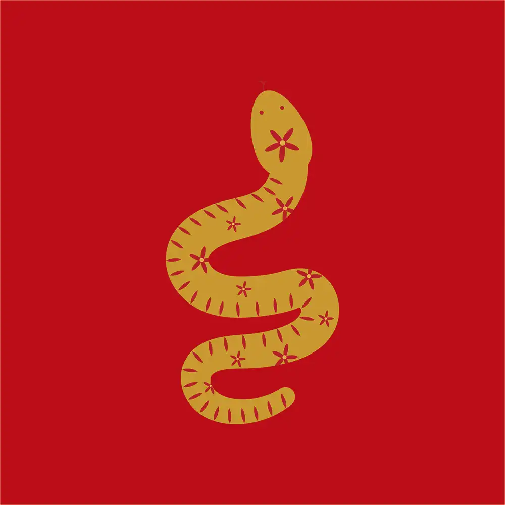 2025 Ano Serpente - Serpente